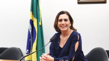Deputada Rosana Valle